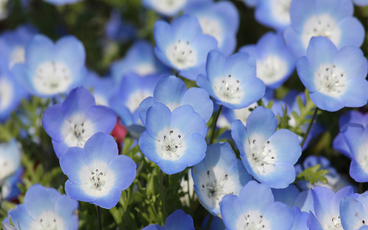 全て日本語の国産CMSだから、設置も更新も簡単、わかりやすい。