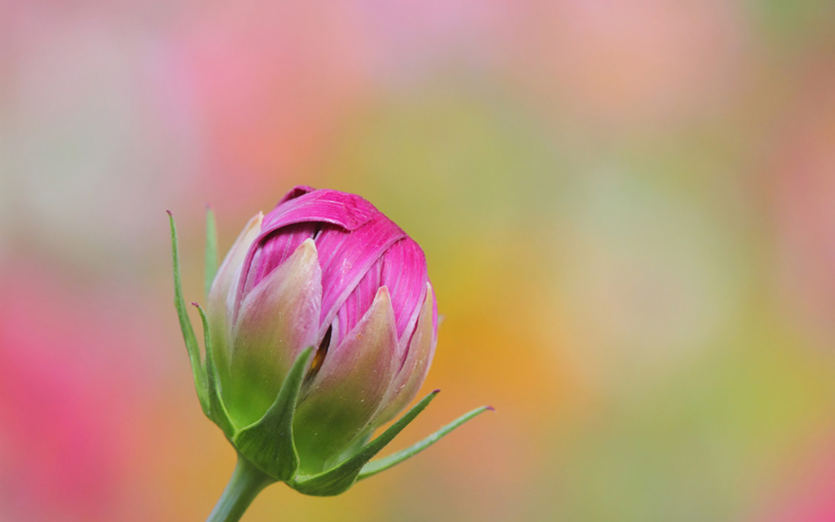 質問・ご相談はユーザーズフォーラムへ