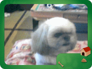 �t���[��